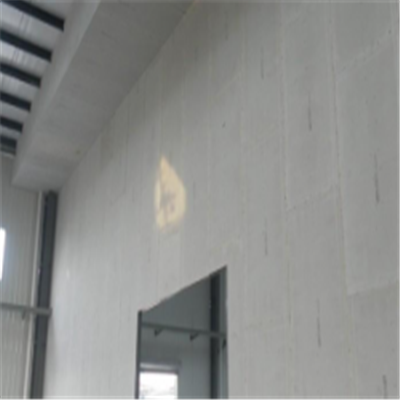 姜堰宁波ALC板|EPS加气板隔墙与混凝土整浇联接的实验研讨